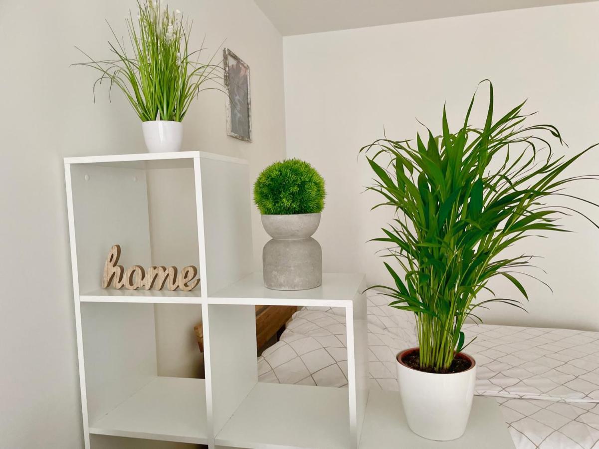 Bright Modern Flat With Balcony Daire Viyana Dış mekan fotoğraf